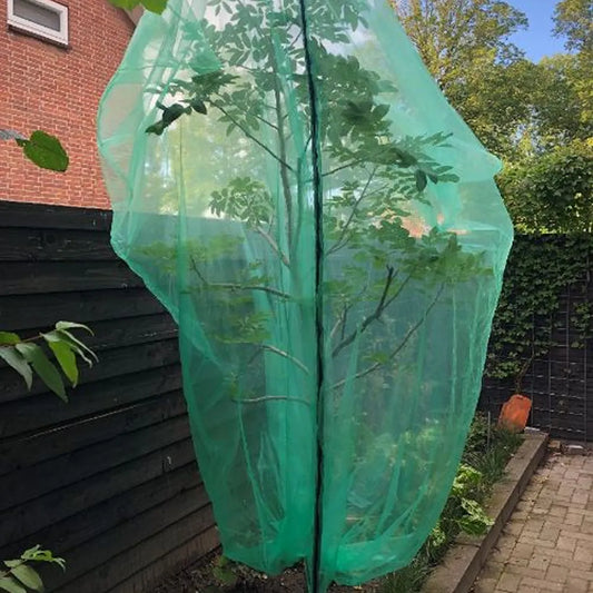 Funda protectora para árboles frutales 300x300 cm
