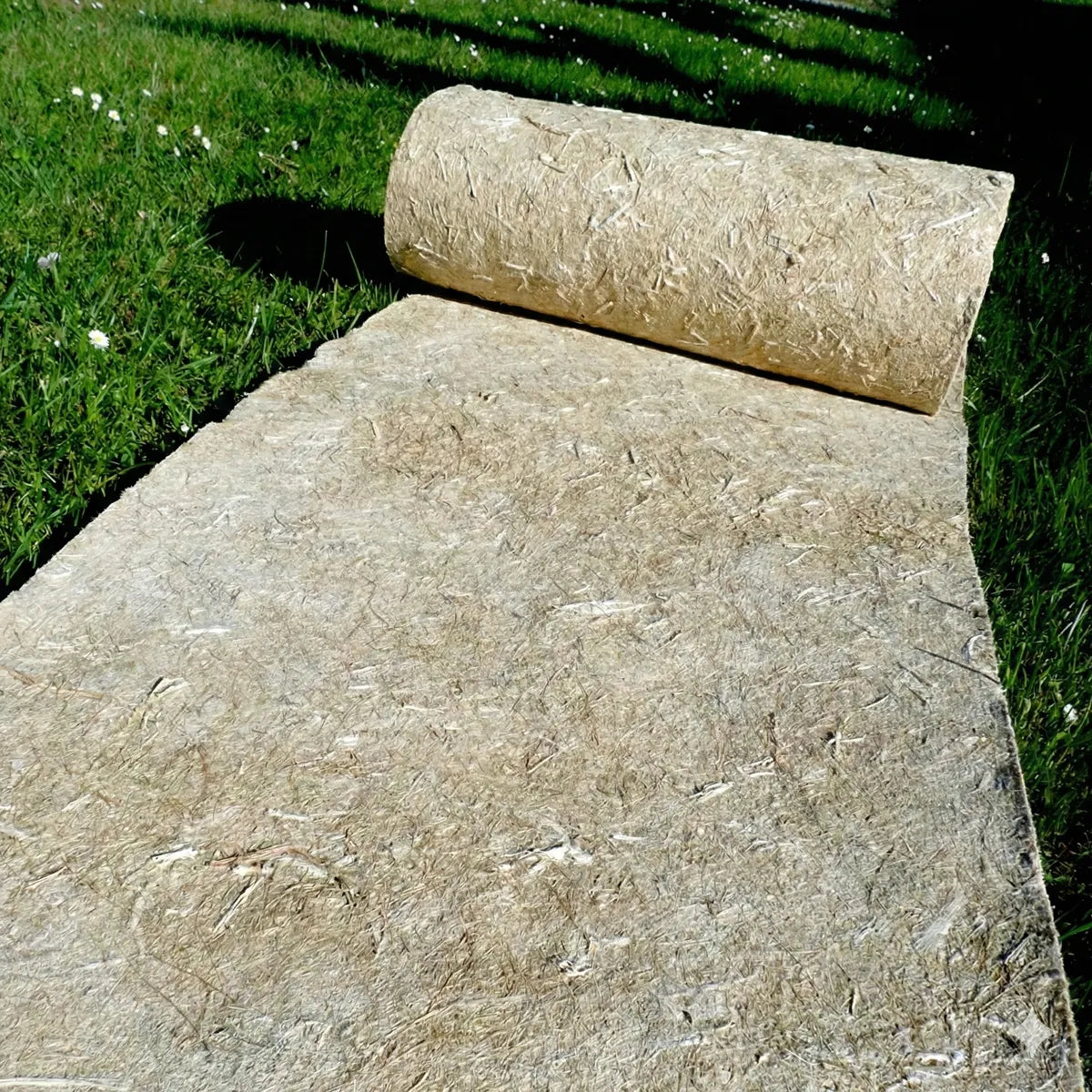 Cobertura vegetal de cáñamo 56 cm para vid joven (36 meses)