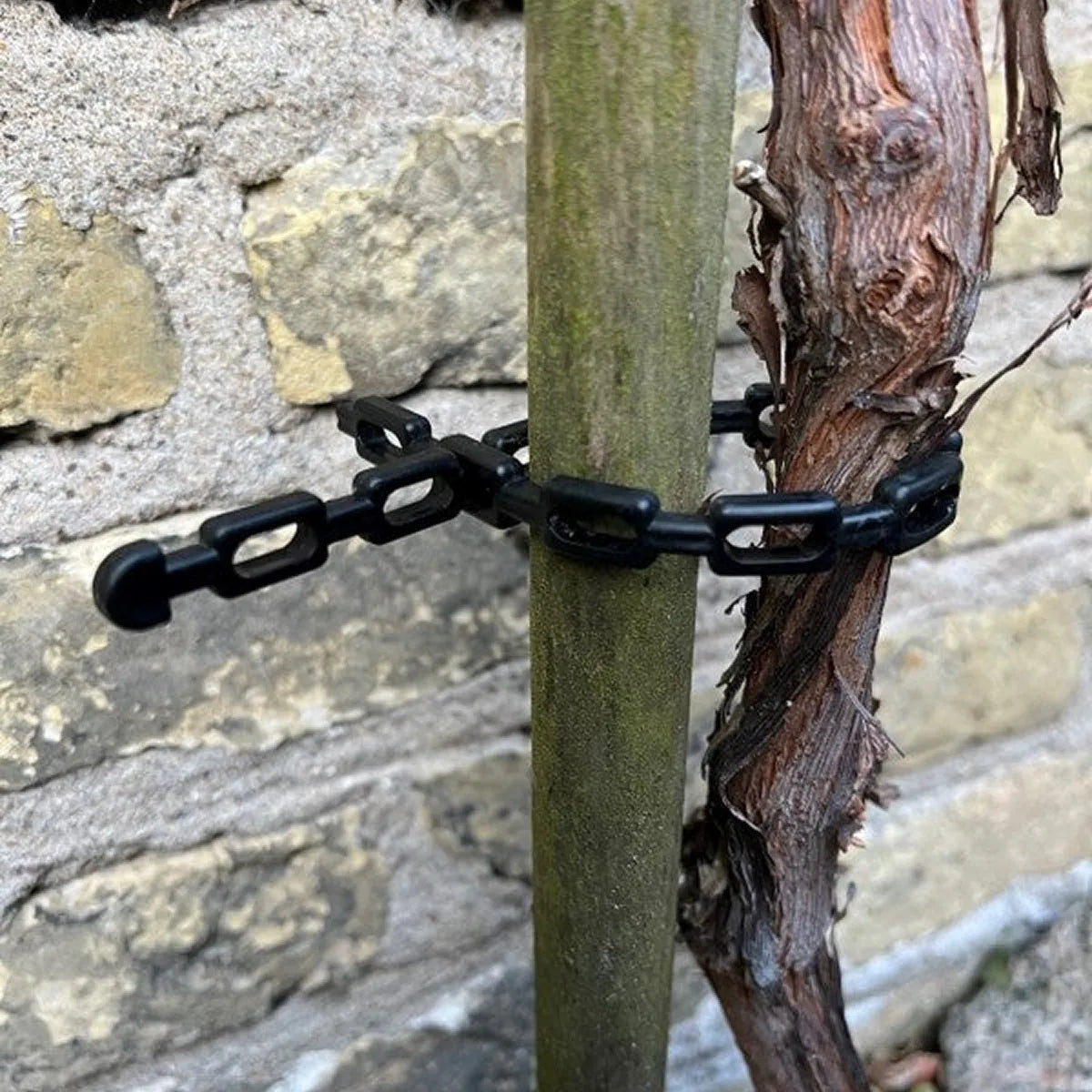 Correa de cadena para vid negra 50 cm (3 piezas)