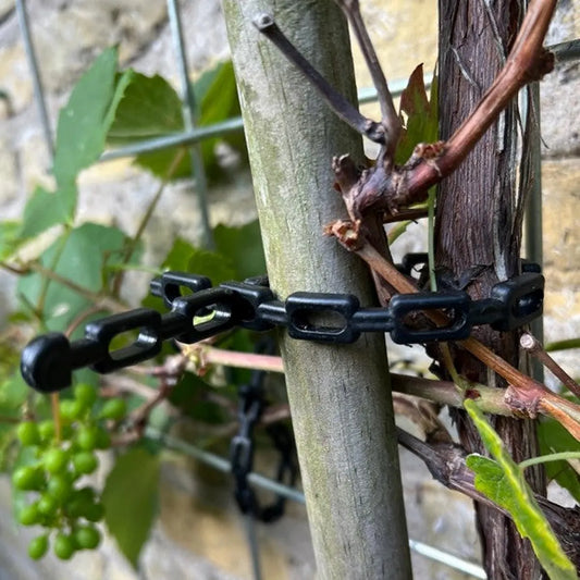 Correa de cadena para vid negra 50 cm (3 piezas)