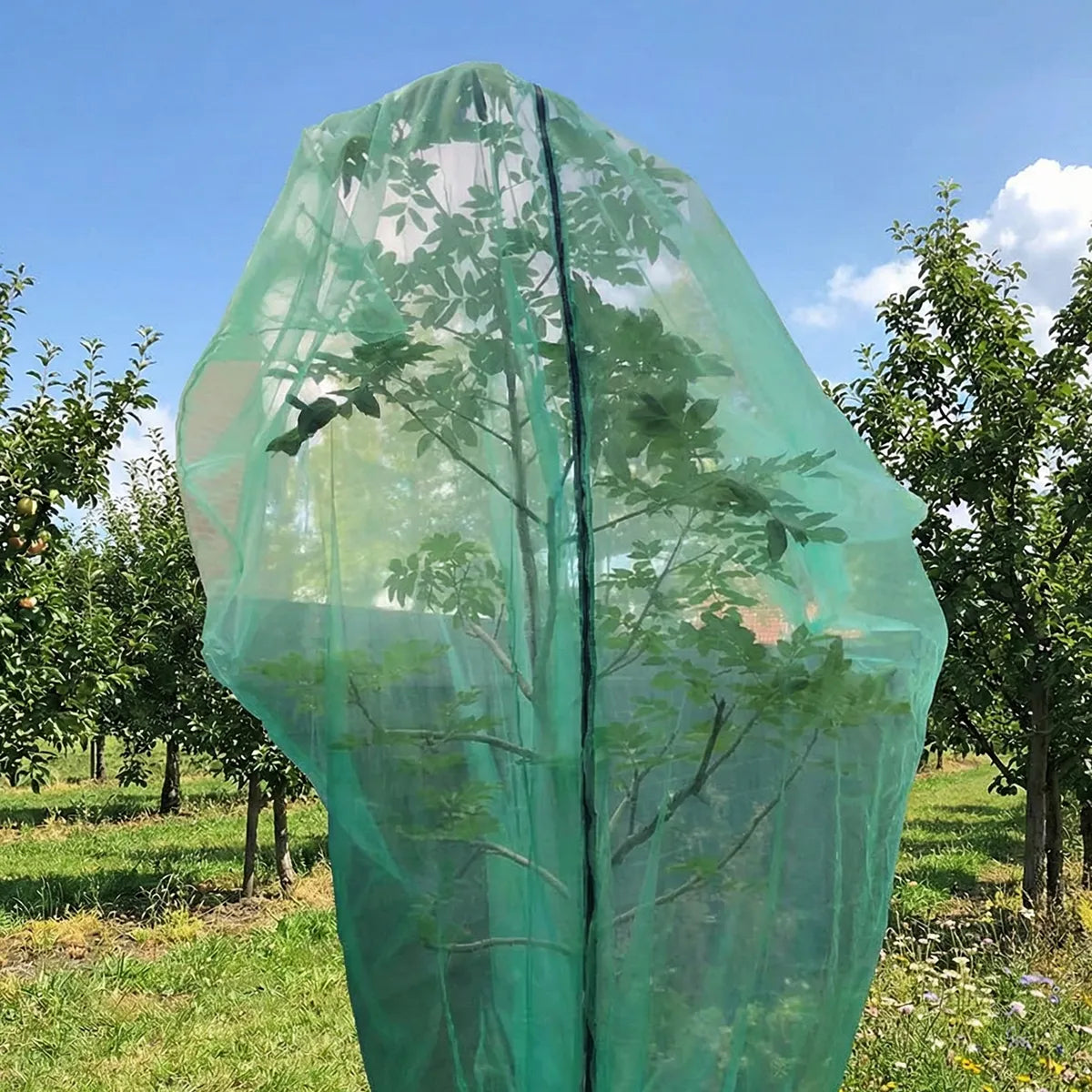 Funda protectora para árboles frutales 300x300 cm