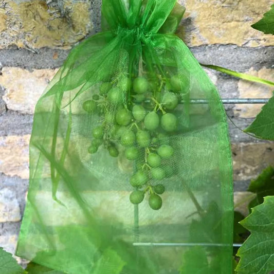 Funda protectora para uvas 20x30 cm verde (25 unidades)