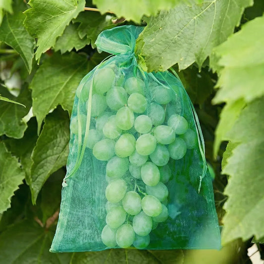 Funda protectora para uvas 20x30 cm verde (25 unidades)