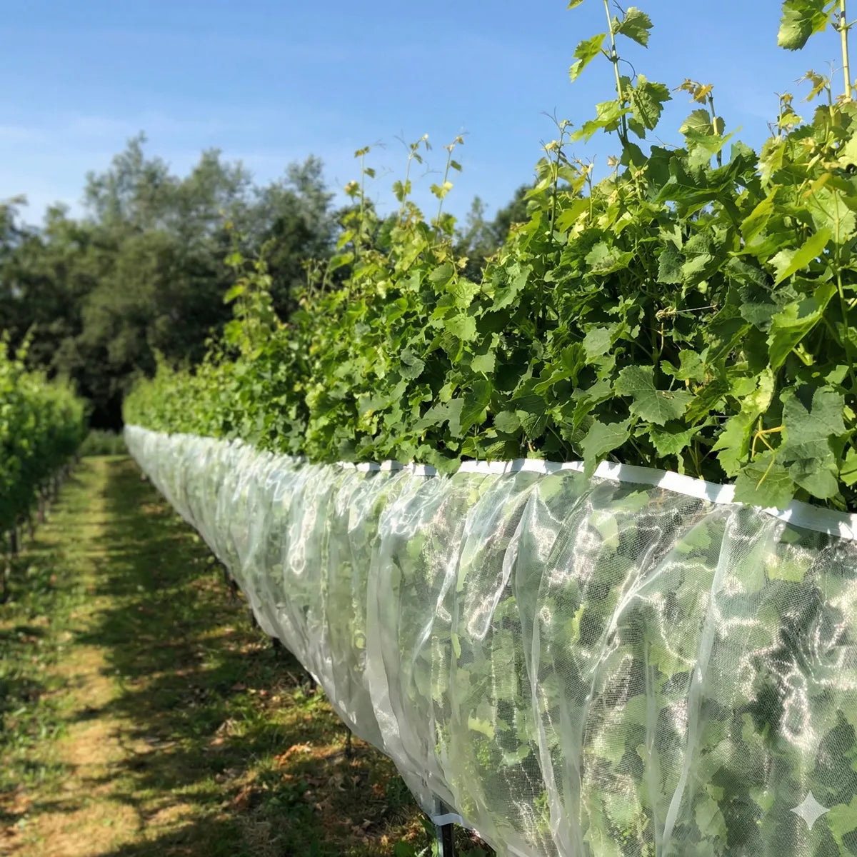 Malla Suzuki protección contra mosca de la fruta con velcro