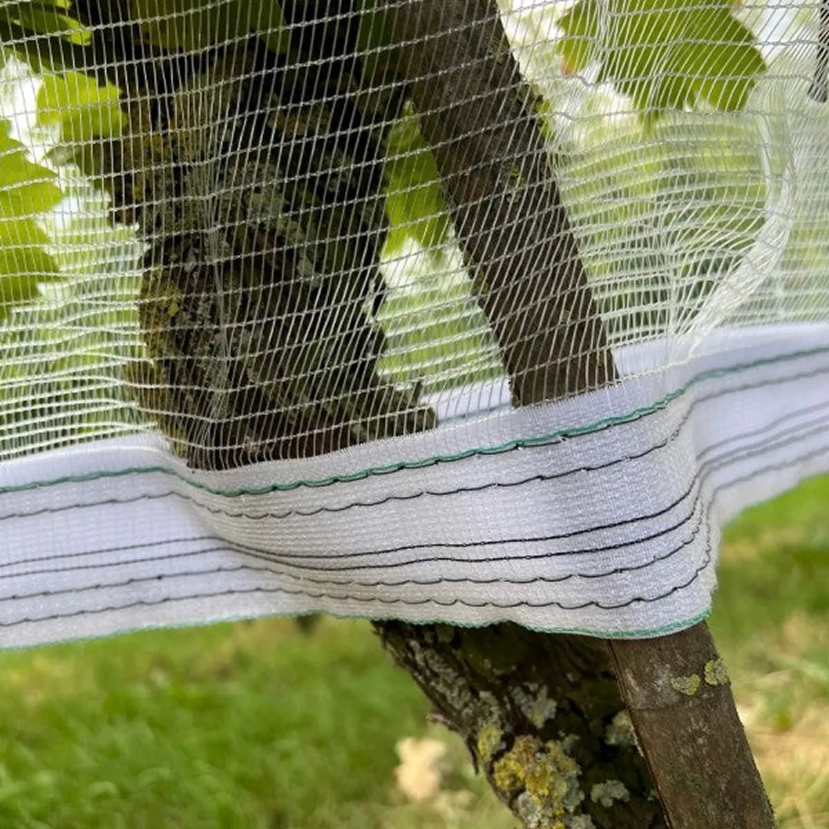 Malla transparente contra avispas y granizo con velcro
