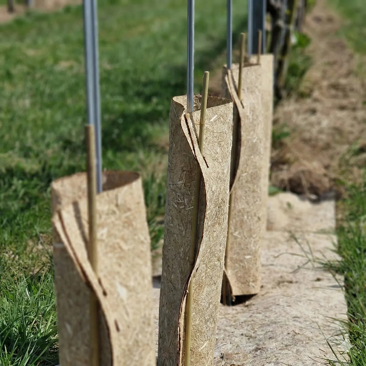 Palitos de bambú 90 cm 8–10 mm para entutorado