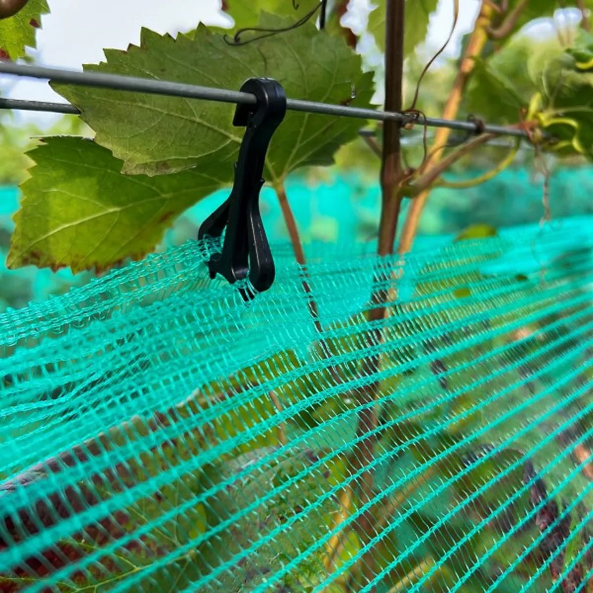 Soporte para red de cultivo de vid